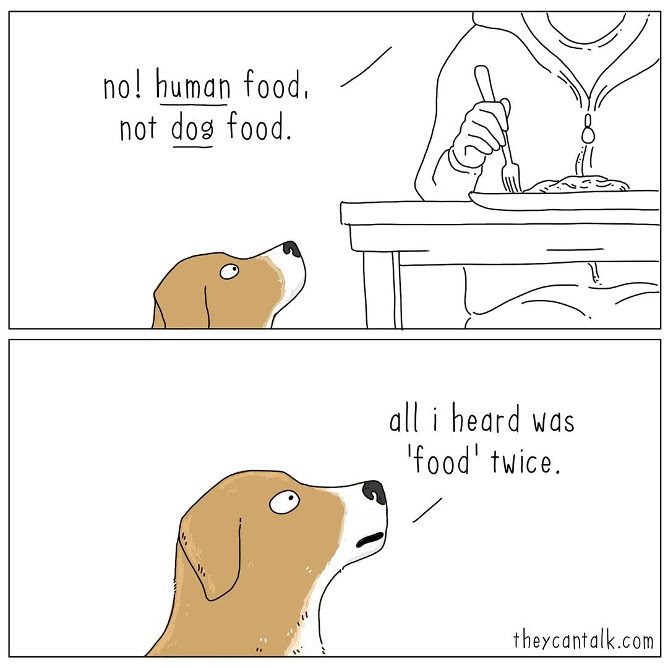 Quadro 1: Não! Comida humana, não comida de cachorro.  Quadro 2: Tudo o que ouvi foi “comida” duas vezes.